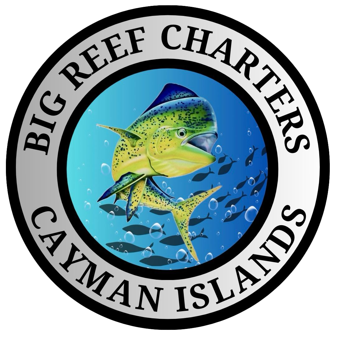 Big Reef Charters | Fishing Charters | Cayman Islands | Snorkeling | Stingray City